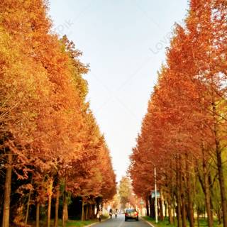 Autumn cities wallpaper