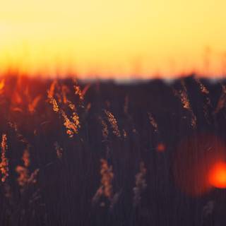 Nature summer landscapes wallpaper