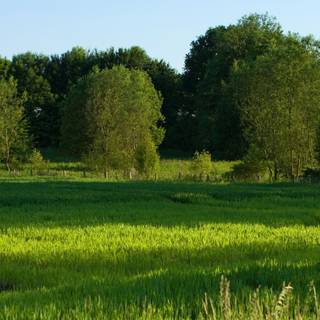 Nature summer landscapes wallpaper