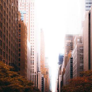 Autumn cities wallpaper