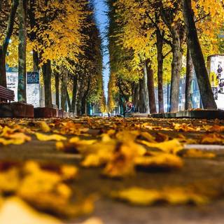 Autumn cities wallpaper