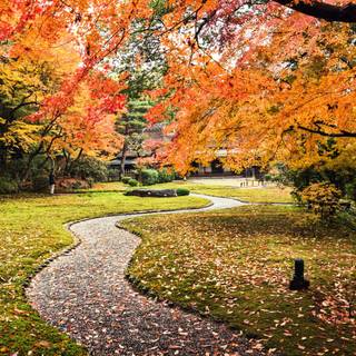 4k autumn phone wallpaper