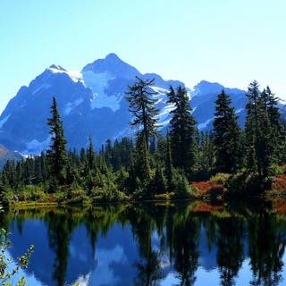 Pacific summer wallpaper