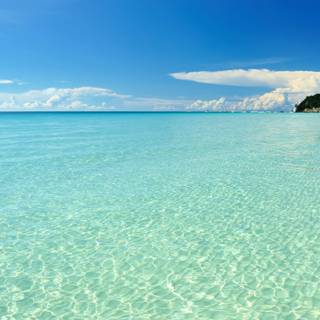 Summer season 4k wallpaper