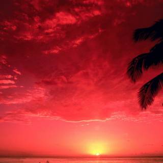 Pacific summer wallpaper