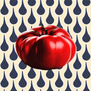 Summer veggies wallpaper