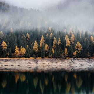 4k autumn phone wallpaper