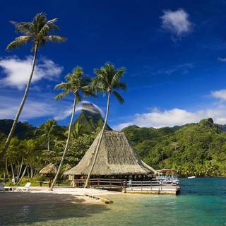 Pacific summer wallpaper