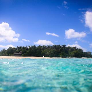 Pacific summer wallpaper