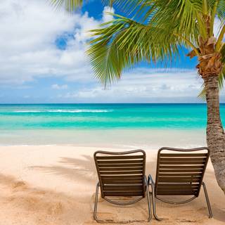 Pacific summer wallpaper