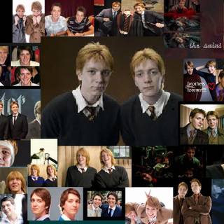 Fred and George Weasley cute wallpaper