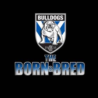 NRL mascots wallpaper