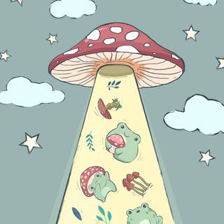 Frogs and mushrooms wallpaper