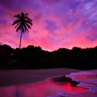 Lofi beach wallpaper