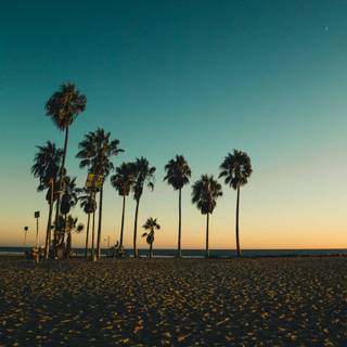 Lofi beach wallpaper