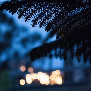 Lofi beach wallpaper