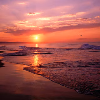 Twilight Beach wallpaper