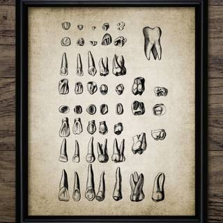 Dentist vintage wallpaper