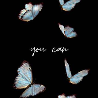 Butterfly quotes wallpaper