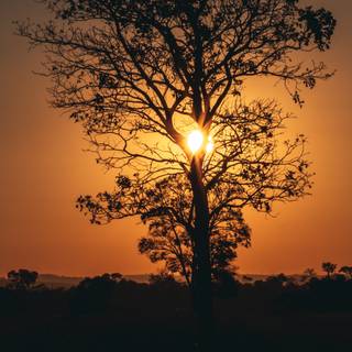 The Sun 4k wallpaper