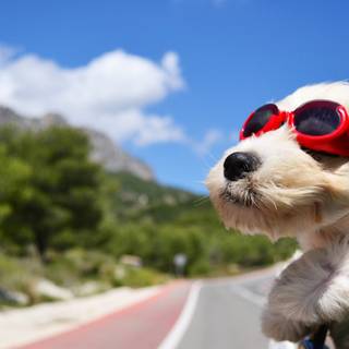 Cute 4k PC wallpaper