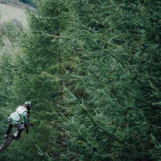 Mountain bike 4k wallpaper