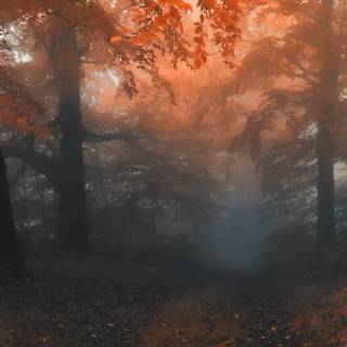 5120x1440 autumn morning wallpaper