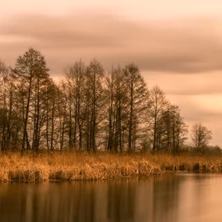 5120x1440 autumn morning wallpaper