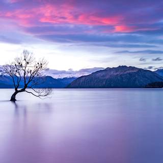 New Zealand 4k wallpaper