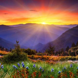 New Zealand 4k wallpaper