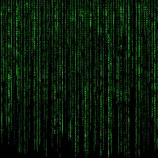 The Matrix 4k wallpaper