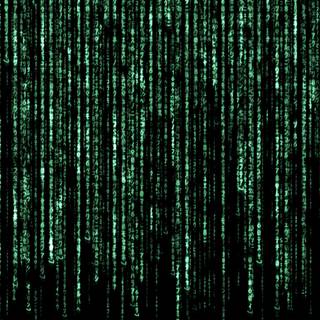 The Matrix 4k wallpaper