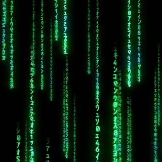 The Matrix 4k wallpaper