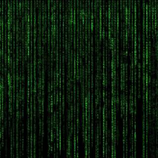 The Matrix 4k wallpaper
