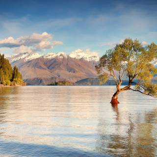 New Zealand 4k wallpaper