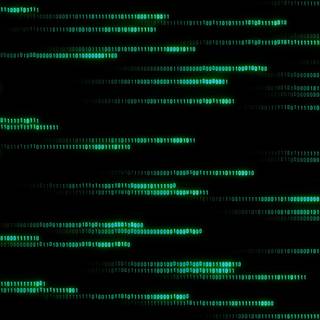 The Matrix 4k wallpaper