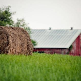 Summer farmland wallpaper