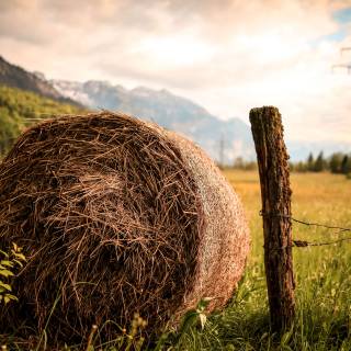 Summer farmland wallpaper