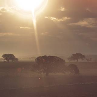 Shiny summer wallpaper