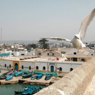 Morocco 4k wallpaper