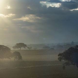 Shiny summer wallpaper