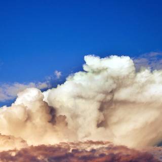 Shiny summer wallpaper