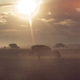 Shiny summer wallpaper