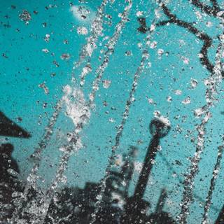 Shiny summer wallpaper