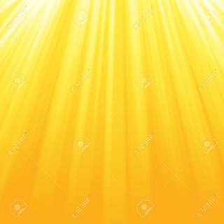 Shiny summer wallpaper