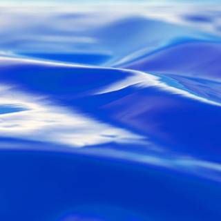 Shiny summer wallpaper