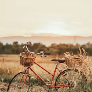 Bike summer wallpaper