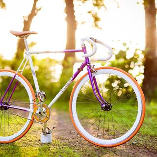 Bike summer wallpaper