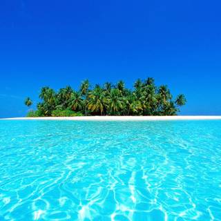 Hot summer season wallpaper