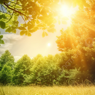 Hot summer season wallpaper